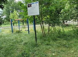 Parcul nepăsării: Un loc de joacă pentru copiii din Oradea, invadat de buruieni (FOTO)