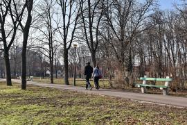 Ne enervează: Cum s-au „transformat” copacii din Parcul Brătianu din Oradea în locuri de făcut nevoile în public