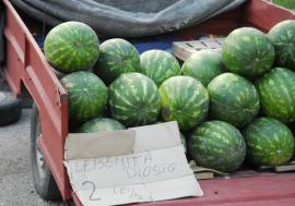 ADP Oradea, licitaţie publică cu strigare pentru locurile de vânzare a pepenilor