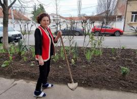 Fiți ca doamna Doina! La 91 de ani, o fostă învățătoare din Oradea îngrijește cu entuziasm spațiul verde din fața casei (FOTO)