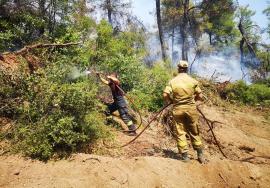 Pompierii români aflați în misiune în insula Evia, lăudaţi de greci: 'Viteza, organizarea, meticulozitatea şi reflexele sunt uimitoare'