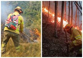 Incendiul de pădure de la Tărcăița nu a fost stins: peste 60 de pompieri luptă cu flăcările în a treia zi de intervenție (VIDEO)