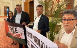 Protest SOS România pe holurile Parlamentului, înaintea discursului președintelui Israelului. Deputatul de Bihor Vlad-Andrei Vidra, cu banner „Free Palestine” (VIDEO)