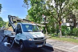 Tăieri și toaletări de arbori pe mai multe străzi din Oradea