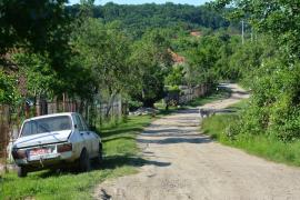 „Viața la țară”, deocamdată pe hârtie: Gospodăriile de la sate vor putea primi turiști contra cost și le vor arăta tradițiile locului