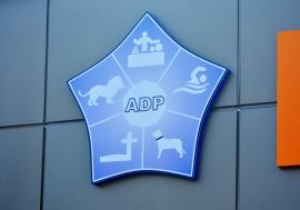 ADP Oradea face angajări. Vezi locurile de muncă disponibile şi condiţiile!