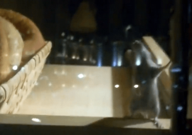 Covrigi cu 'aromă' nedorită: Un şoarece a fost filmat în vitrina unei patiserii din centrul Oradiei (VIDEO)