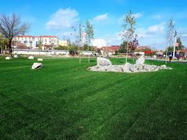 Fostul depozit de fier vechi din strada Oneştilor a devenit... spaţiu verde (FOTO)