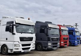 Țeapă de peste 130.000 lei la bugetul de stat. O firmă de transport din Bihor şi administratorul ei au fost trimişi în judecată