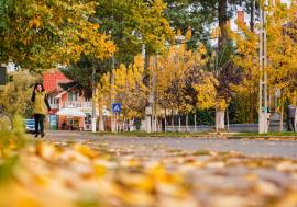Octombrie mai cald în vestul țării. Cum va fi vremea până la începutul lui noiembrie