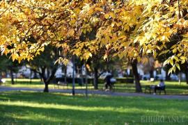 Ba caldă, ba rece. Meteorologii anunță cum va fi vremea în următoarele două săptămâni