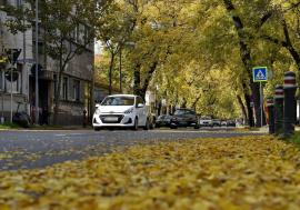 De la 25 la 15 grade în doar două zile! ANM anunță o încălzire puternică în Crișana, urmată de răcire și ploi