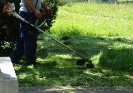 ADP Oradea caută muncitori necalificați pentru curățenie