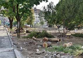 Rădăcini tăiate: Peste 200 de copaci au fost defrișați în parcurile din Oradea. Era sau nu necesar? (FOTO)