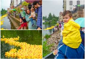Cursa Rățuștelor, pe ploaie, la Oradea: 10.000 de rățuște au colorat Crișul Repede de Ziua Copilului (FOTO/VIDEO)