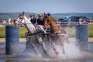 Spectacol cu cai și atelaje, la Oșorhei, la un concurs internațional cu participare record. Bihorul ar putea găzdui și campionatul mondial! (FOTO)