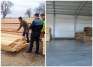 Acţiune a poliţiştilor de la delicte silvice: Două firme din Bihor, prinse că au vândut sute de metri cubi de lemne la negru