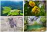 Descoperiți Munții Apuseni: 15 filmulețe documentare despre Parcul Natural Apuseni, făcute pe bani europeni (VIDEO)