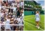 Simona Halep, Irina Bara și alte trei jucătoare din România debutează marți la Wimbledon