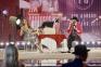Un român a câștigat finala „America's Got Talent”. Numărul care i-a adus 1 milion de dolari (VIDEO)