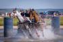 Spectacol cu cai, la Oșorhei, la un concurs internațional de atelaje cu participare record. Bihorul ar putea găzdui și campionatul mondial! (FOTO)