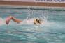 Oradea găzduiește, începând de joi, primul turneu final al Campionatului Național U11 la polo pe apă