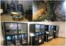 Expoziția de reptile vii din Muzeul Orașului Oradea va rămâne deschisă până în toamnă